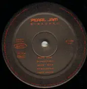 Double LP - Pearl Jam - Binaural - booklet