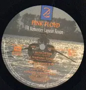 LP - Pink Floyd - A Momentary Lapse Of Reason - DMM