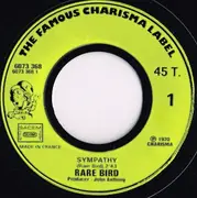 7inch Vinyl Single - Rare Bird - Sympathy