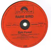 Double LP - Rare Bird - Epic Forest