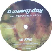 12inch Vinyl Single - Stefano Noferini & DJ Guy Featuring Hilary Costa - A Sunny Day