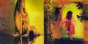 CD - Stevie Nicks - Trouble In Shangri-La