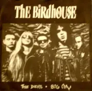 7'' - The Birdhouse - The Devil / Big City