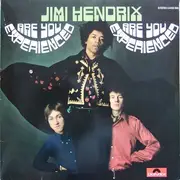 LP - The Jimi Hendrix Experience - Are You Experienced