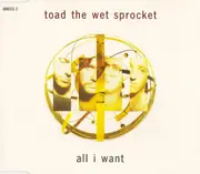 CD Single - Toad The Wet Sprocket - All I Want
