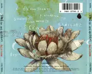 CD - Toad The Wet Sprocket - Dulcinea