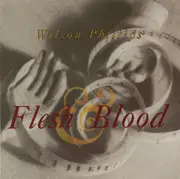 CD Single - Wilson Phillips - Flesh & Blood