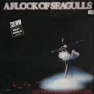 A Flock Of Seagulls - Never Again (The Dancer)