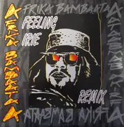 Afrika Bambaataa - Feeling Irie (Remix)