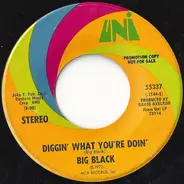 Big Black - Diggin' What You're Doin' / Mellow
