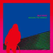 Billy Roisz - Walking the Monkey