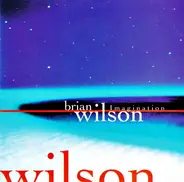 Brian Wilson - Imagination