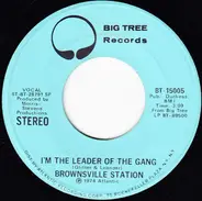 Brownsville Station - I'm The Leader Of The Gang