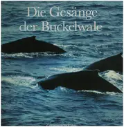 Buckelwale - Die Gesänge Der Buckelwale