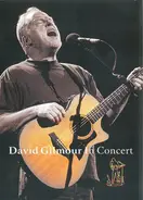 David Gilmour - David Gilmour In Concert