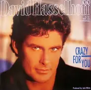 David Hasselhoff - Crazy for You
