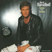 David Hasselhoff - Looking for Freedom