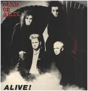 Dead Or Alive - Alive!