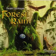 Dean Evenson - Forest Rain