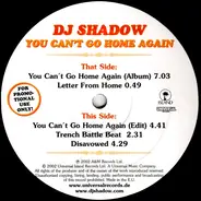 DJ Shadow - You Can't Go Home Again!