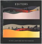 Editors - In This Light and on This Evening