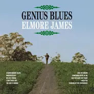 Elmore James - GENIUS BLUES