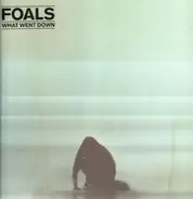 Foals - What Went Down