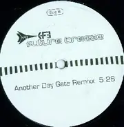 Future Breeze - Another Day (Gate Remix)