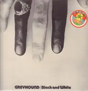 Greyhound - Black and White