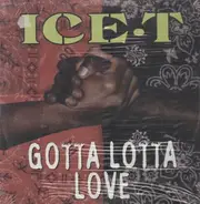 Ice T - Gotta Lotta Love