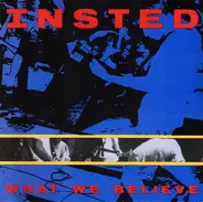 Insted - What We Believe