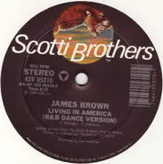 James Brown / Vince DiCola - Living In America