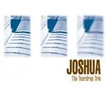 Joshua - The Teardrop Trio