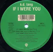 k.d. lang - If I Were You