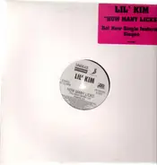 Lil' Kim - How Many Licks