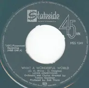 Louis Armstrong Orchestra & Chorus / Louis Armstrong And His All-Stars - What a Wonderful World