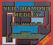 Miljhana-K - Neil Diamond Medley