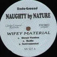 Naughty By Nature - Wifey Material
