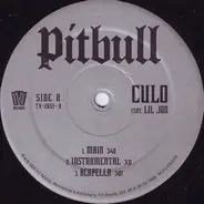 Pitbull - Culo / That's Nasty (Remix)