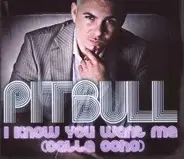 Pitbull - I KNOW YOU WANT ME