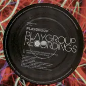 Playgroup - Limited Edition 12' Remix Album Sampler