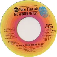 Pointer Sisters - Love In Them There Hills / Fairytale