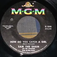 Sam The Sham & The Pharaohs - How Do You Catch A Girl