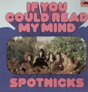 Spotnicks - If You Could Read My Mind