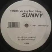 Stefano Noferini & DJ Guy Feat. Hilary Costa - Sunny