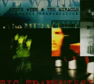 Steve Wynn & The Miracle 3 - Static Transmission