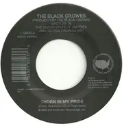 The Black Crowes - Thorn In My Pride / Sting Me
