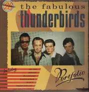 The Fabulous Thunderbirds - Portfolio