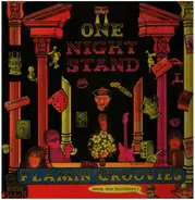 The Flamin' Groovies - one night stand