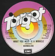 The Marmalade - What You Need Is A Miracle